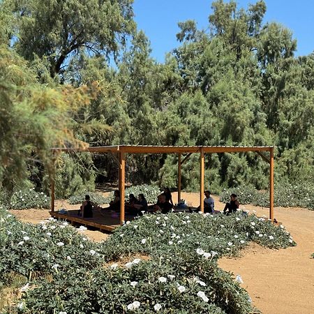 Rancho Dominique Valle De Guadalupe Villa Eksteriør billede