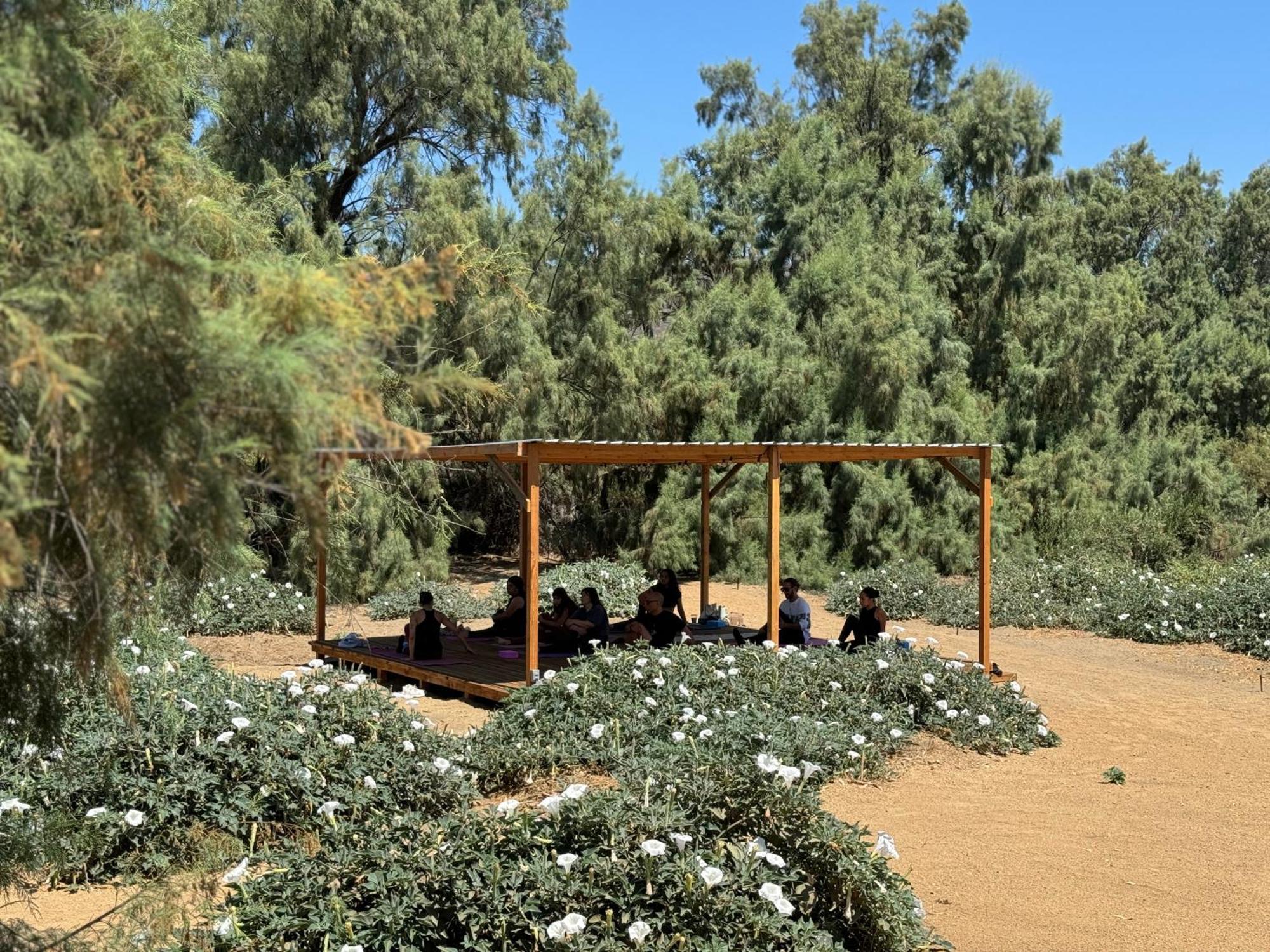 Rancho Dominique Valle De Guadalupe Villa Eksteriør billede